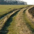 poln cesta