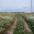 cesta od st�je